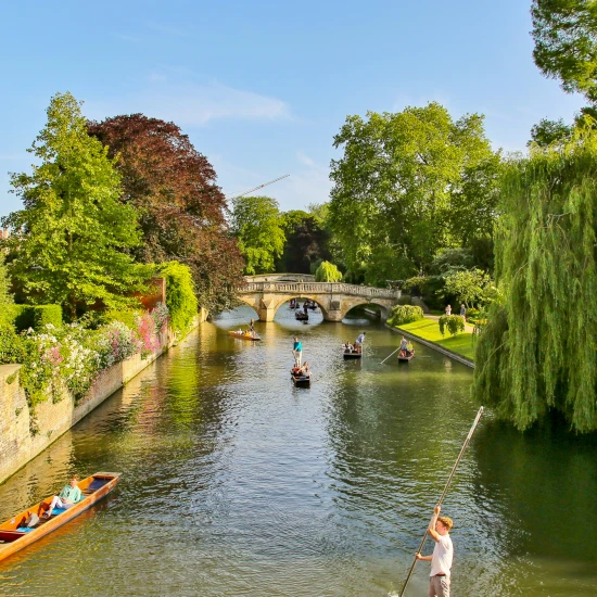 Scenic view of a riverside in Cambridge, with punters on the water and lush greenery along the banks under a clear blue sky.