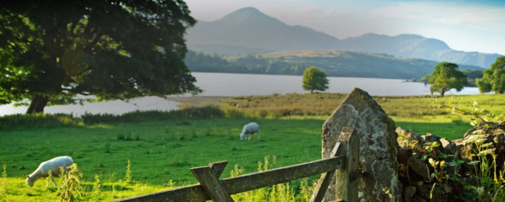 windermere-lake-district-1-day-tour-from-manchester