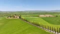 Scenic landscape featuring a winding path lined with tall trees, leading to a charming house amidst lush green fields.