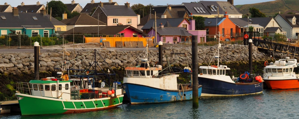 wild-coast-dingle-peninsula-and-slea-head-1-day-tour-from-killarney