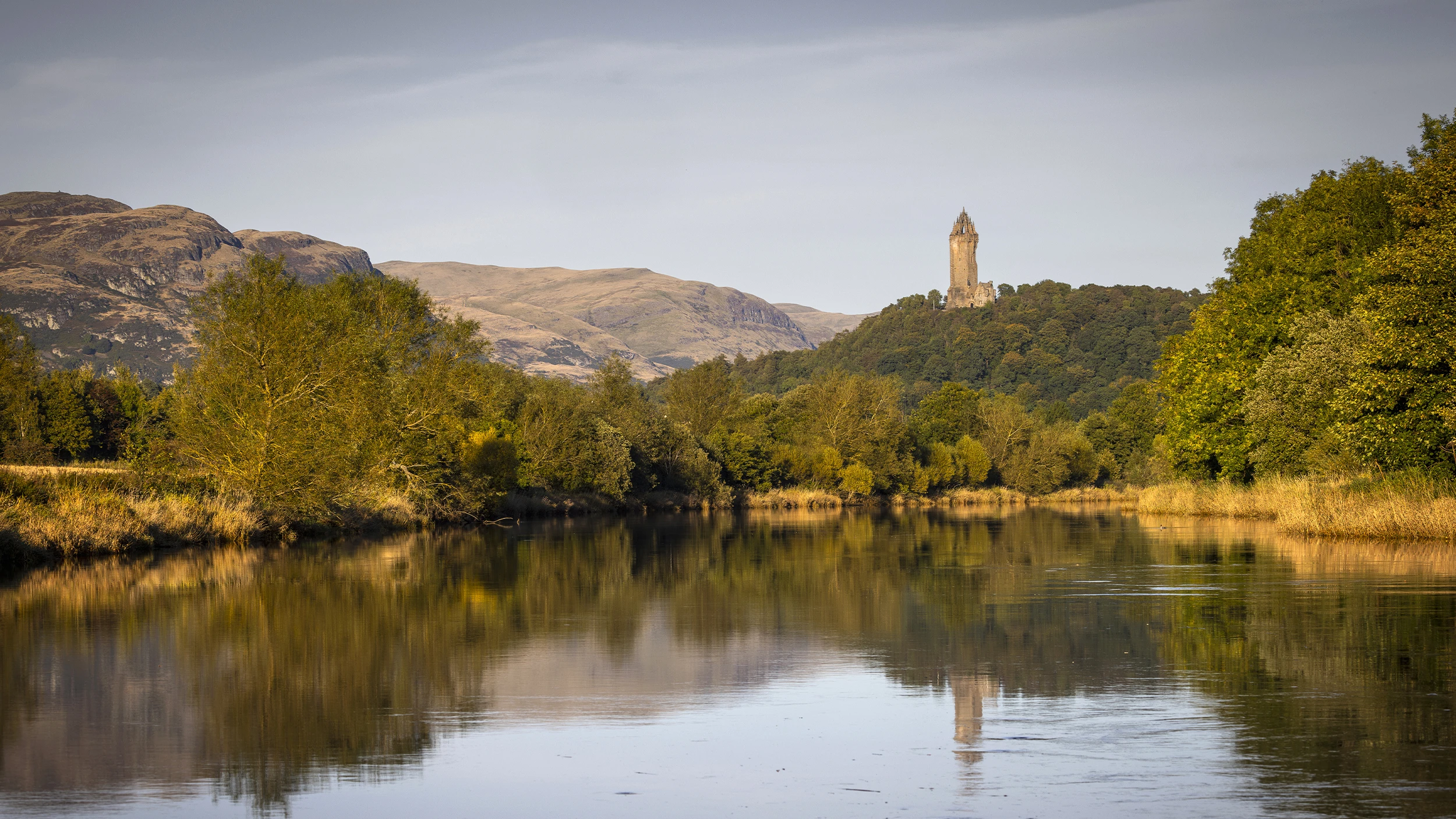 A scenic view of trees growing by a bank of a loch in Loch Lomond and the Trossachs National Park