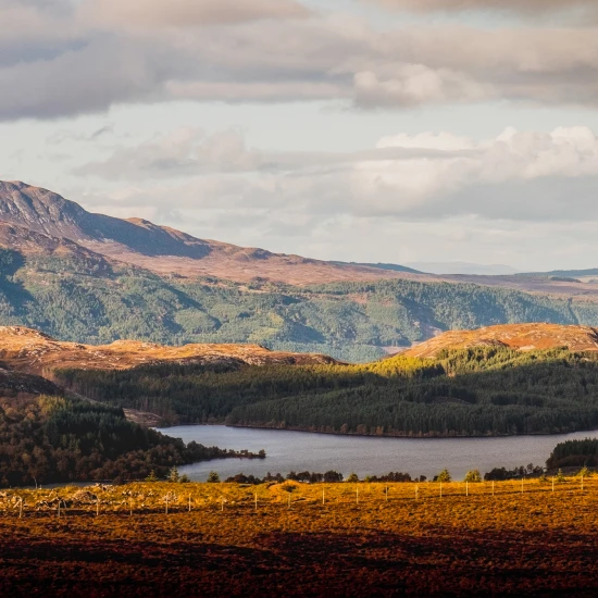 Scenic view of rolling hills, forests, and a tranquil lake under a partly cloudy sky, showcasing the beauty of the UK countryside.