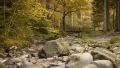 A serene woodland scene featuring a stream, large rocks, and a wooden bridge surrounded by autumn foliage.