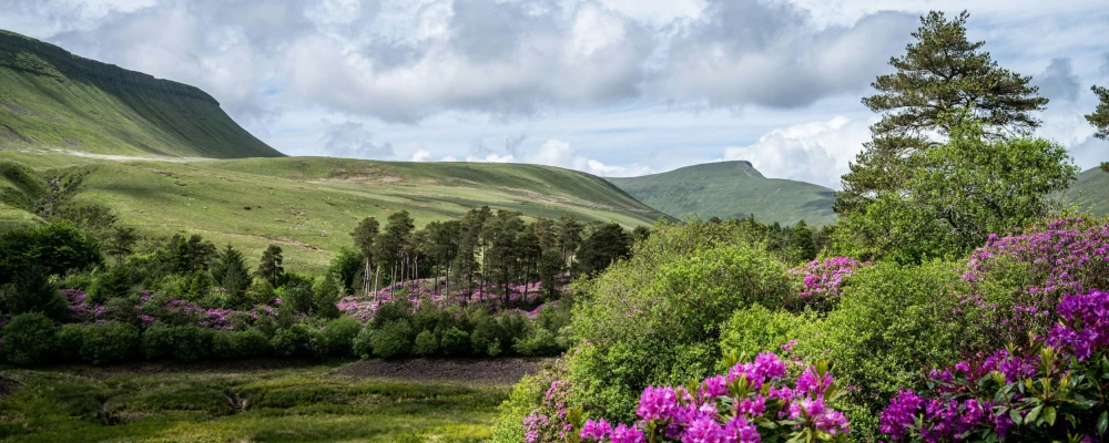 wales-day-tour