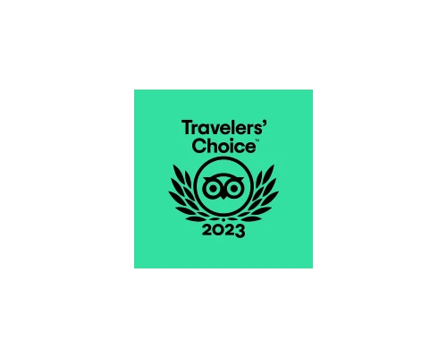 Travelers' Choice award logo for 2023, featuring an owl and laurel wreath on a turquoise background, representing top-rated tours.