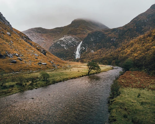 River and tree in a highland glen