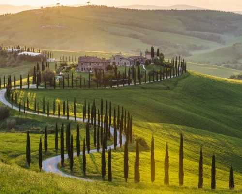 Scenic landscape featuring rolling hills, a winding path, and a charming villa surrounded by tall cypress trees at sunset.