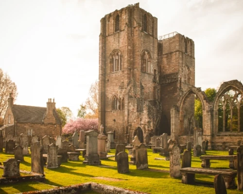 Ruins of an old church tower surrounded by gravestones and lush green grass, with trees in bloom under a soft sky.