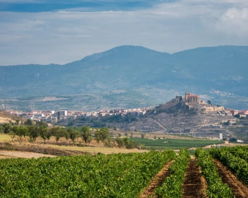 Scenic view of rolling vineyards with a distant castle on a hill under a blue sky, capturing the charm of rural landscapes.