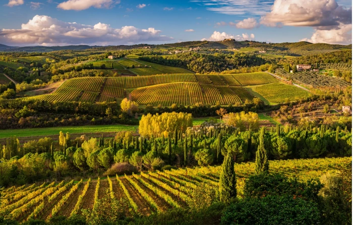 Treasures of Tuscany: Siena & the Chianti Region