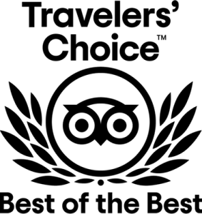 Award Icon 3