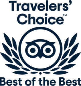 Award Icon 1